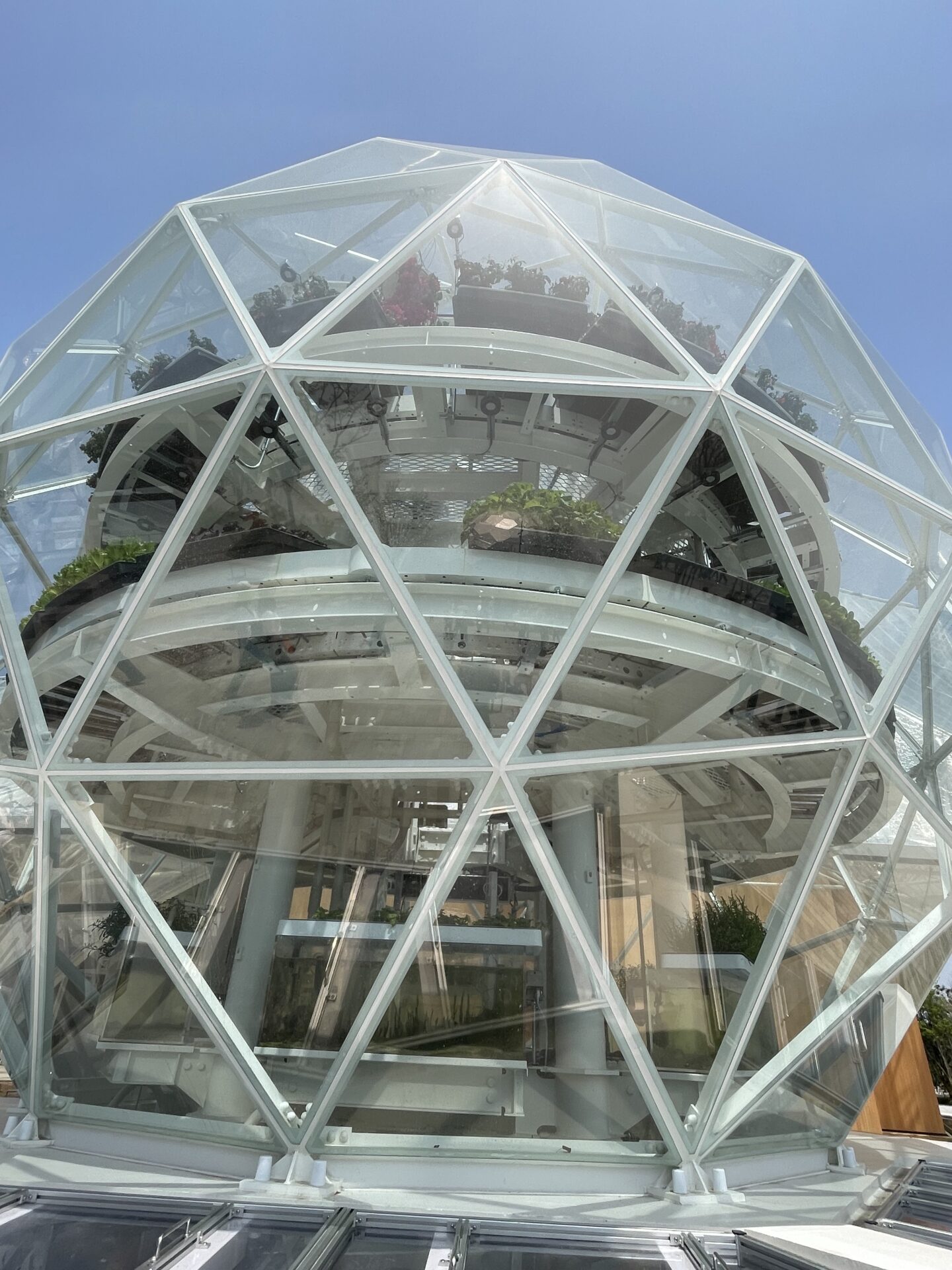 いのちの湧水（いずみ）」アクアポニックスドーム 層 | 日本で唯一の