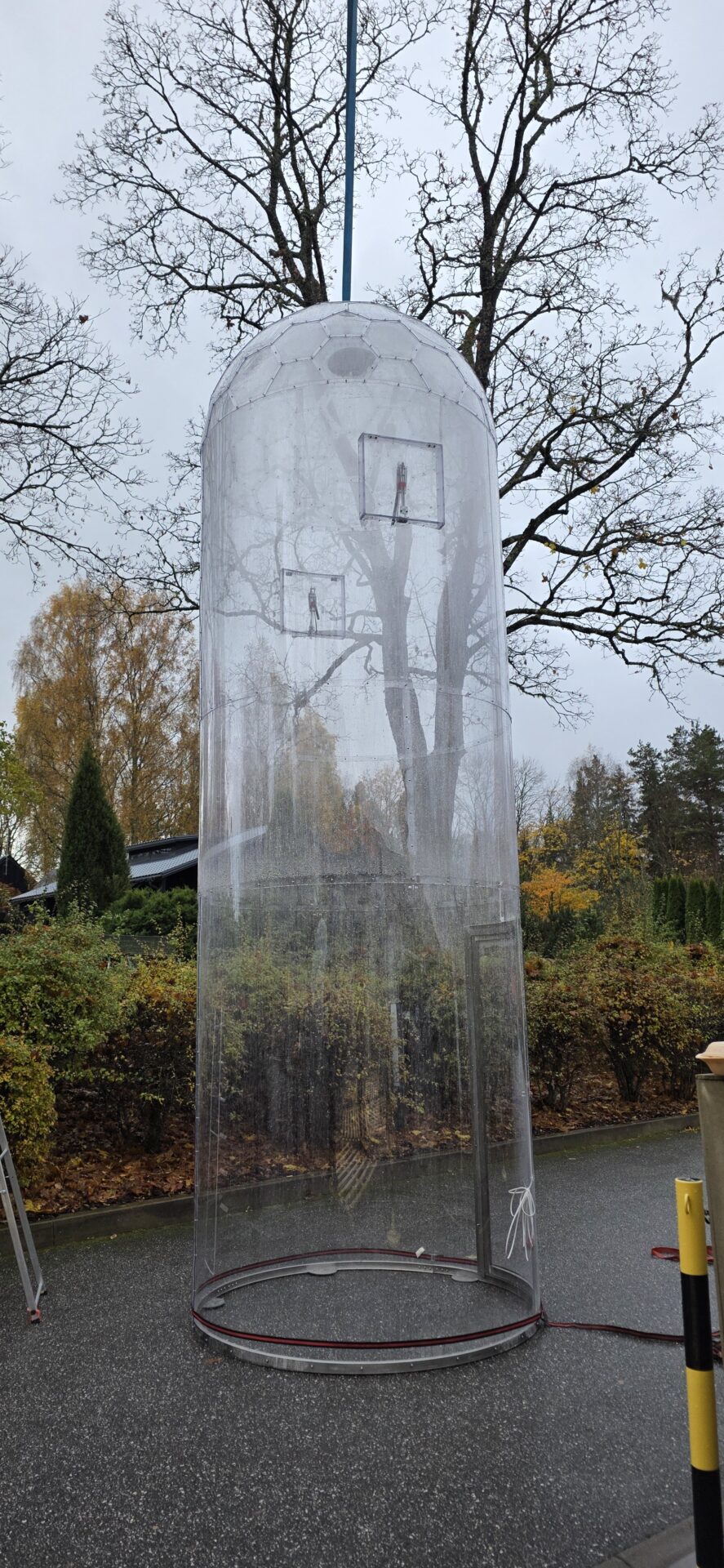 植物保護アウラ