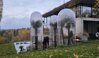 ヤシの木カバー