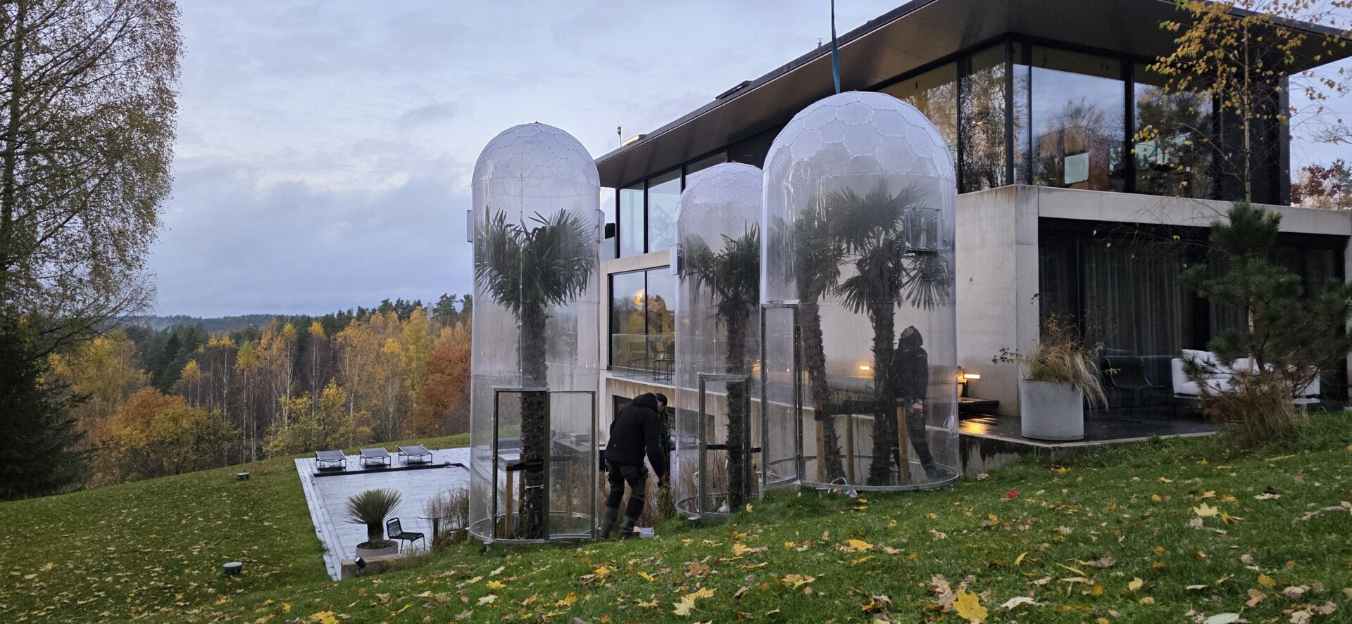 ヤシの木カバー