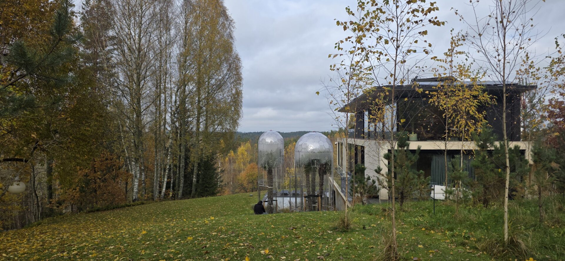 アウラドームカバー