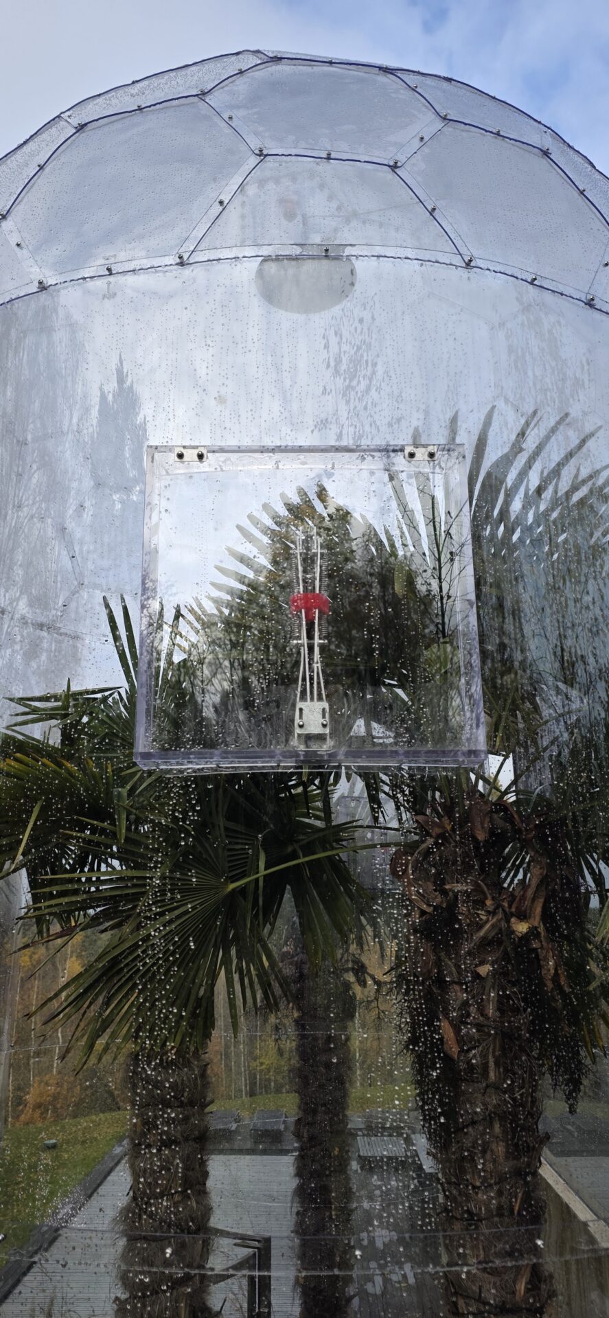 アウラドーム窓