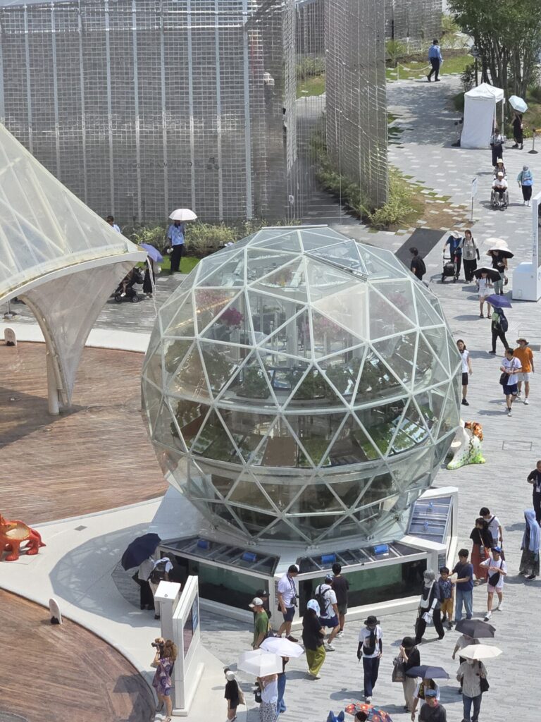 アクアポニックス全景