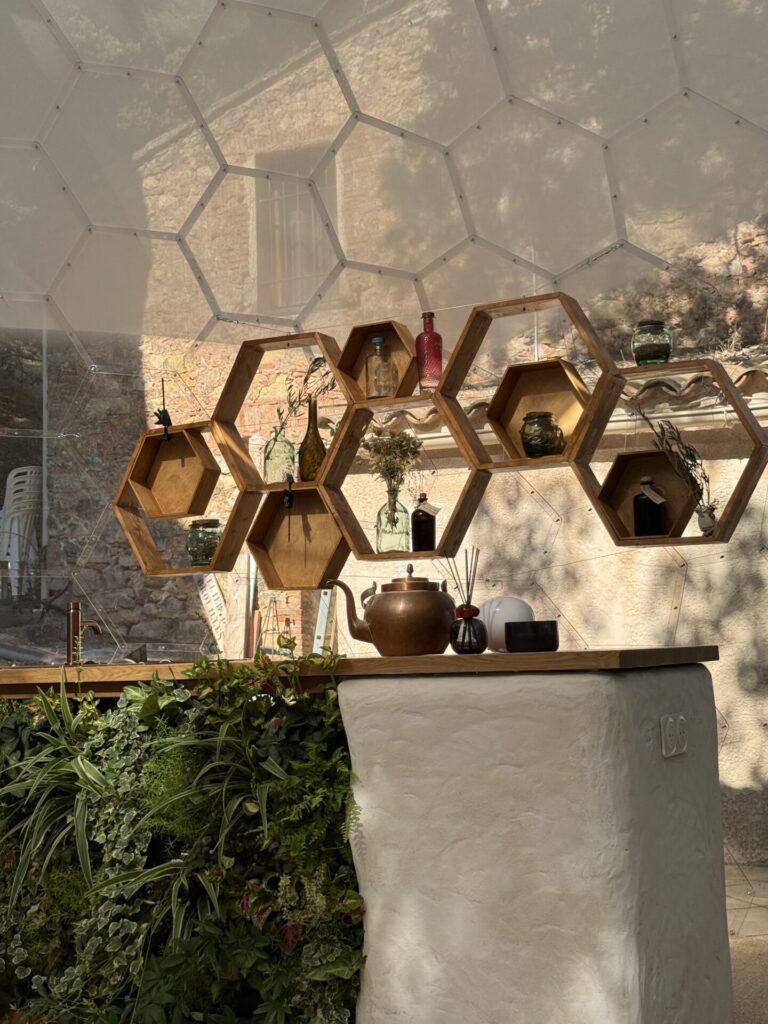 透明ガラスドーム「AURA DOME」のカウンターエリア。六角形シェルフとグリーンウォールが調和した上質な空間は、ホテル・リゾート・カフェ・ラウンジ・商業施設に適した全天候型ドーム建築。
